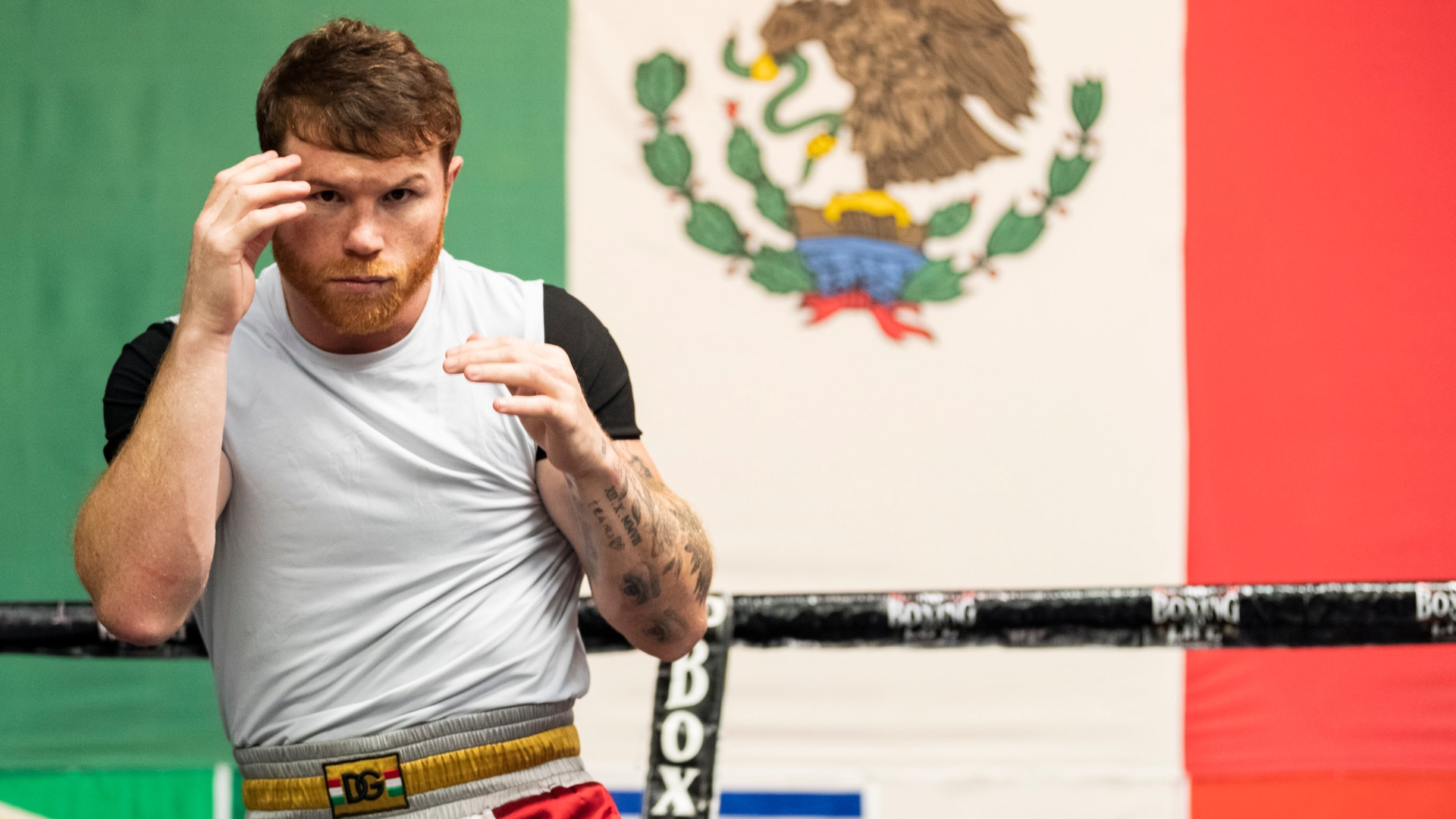 Saul Canelo Alvarez