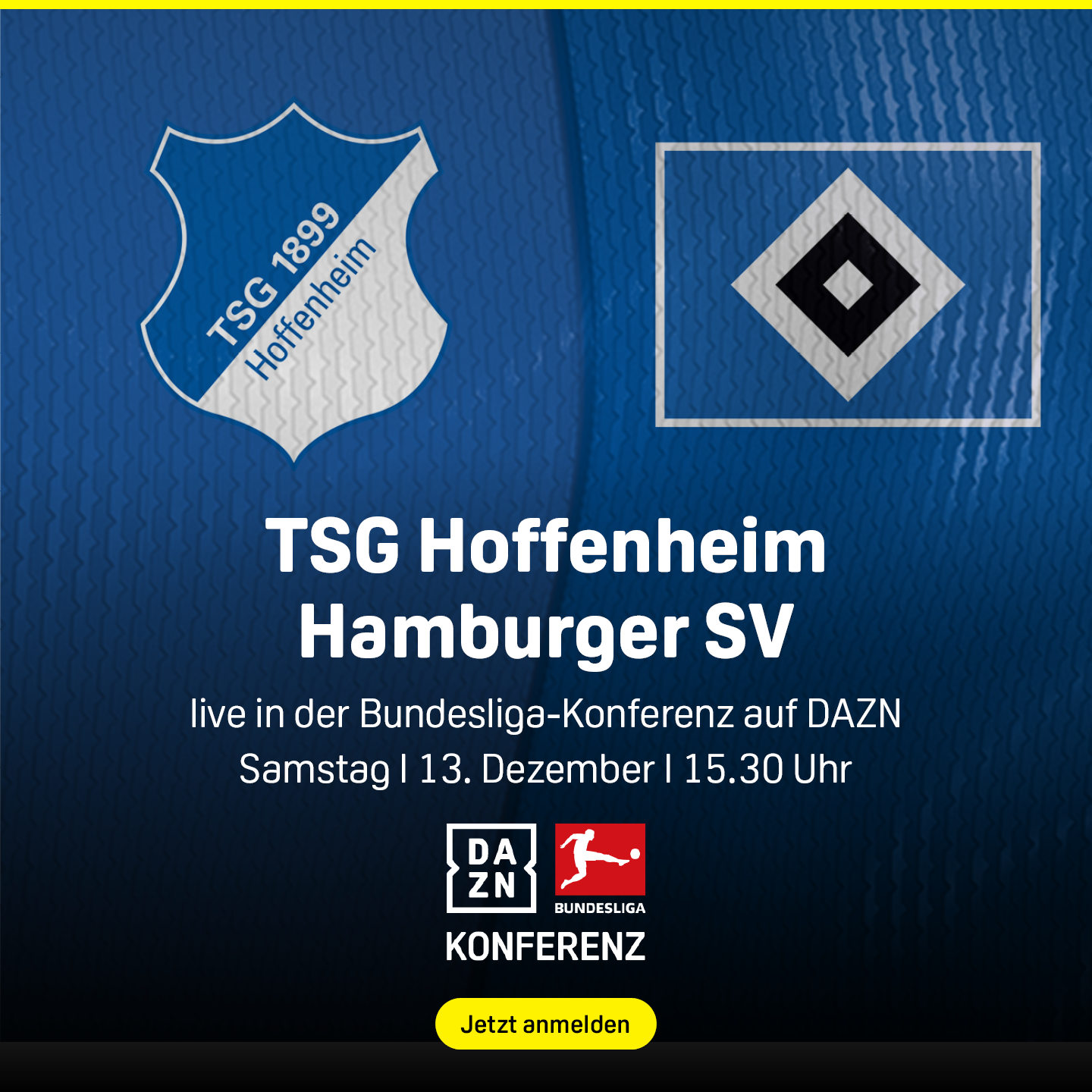 TSG Hoffenheim HSV Hamburger SV Bundesliga