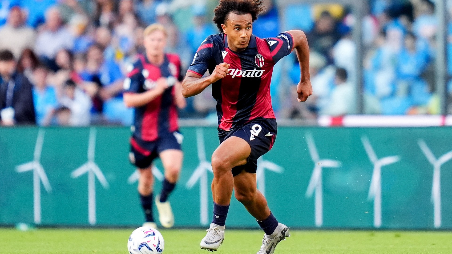 【正規品】ボローニャFC 24-25 カストロ 70003187-00_add5.JPG