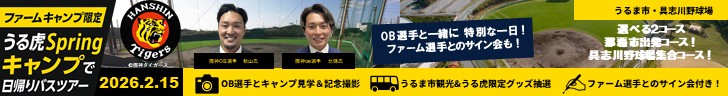 hanshin banner