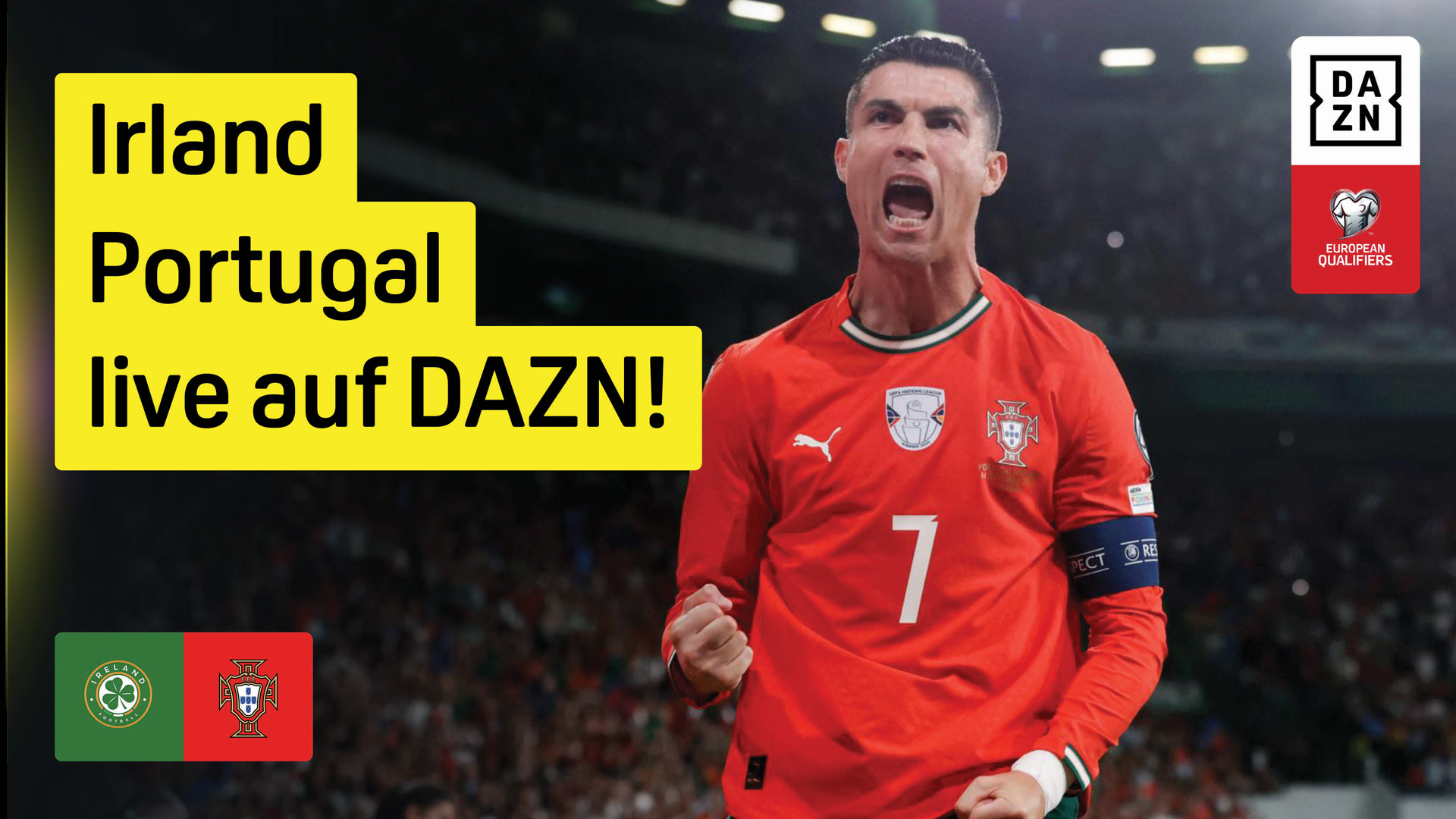 Irland Portugal WM-Qualifikation