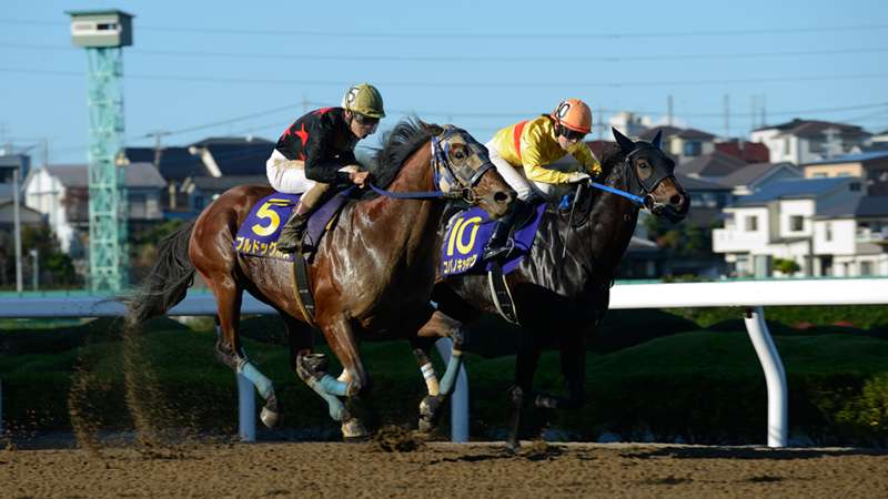 競馬 Jbcスプリント Jpn 有力 注目出走馬 枠順 発走時刻 放送 Dazn News 日本