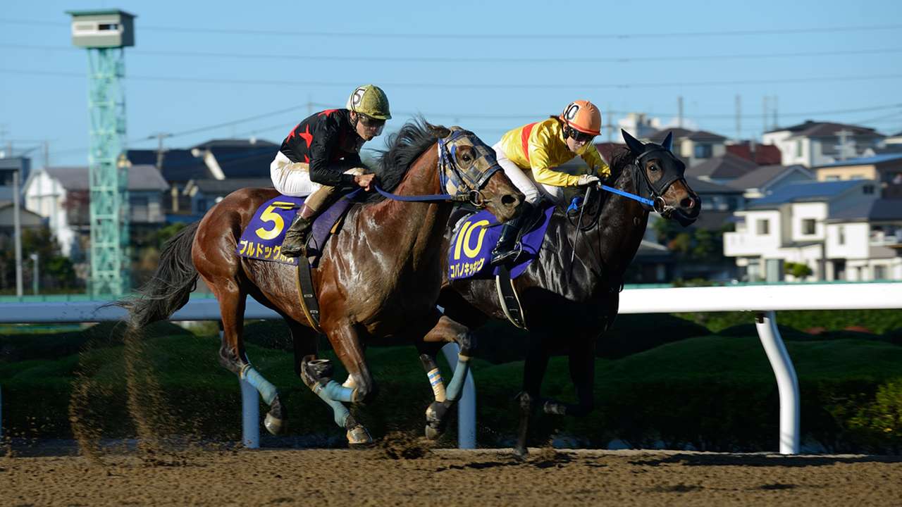 競馬 Jbcスプリント Jpn 有力 注目出走馬 枠順 発走時刻 放送 Dazn News 日本