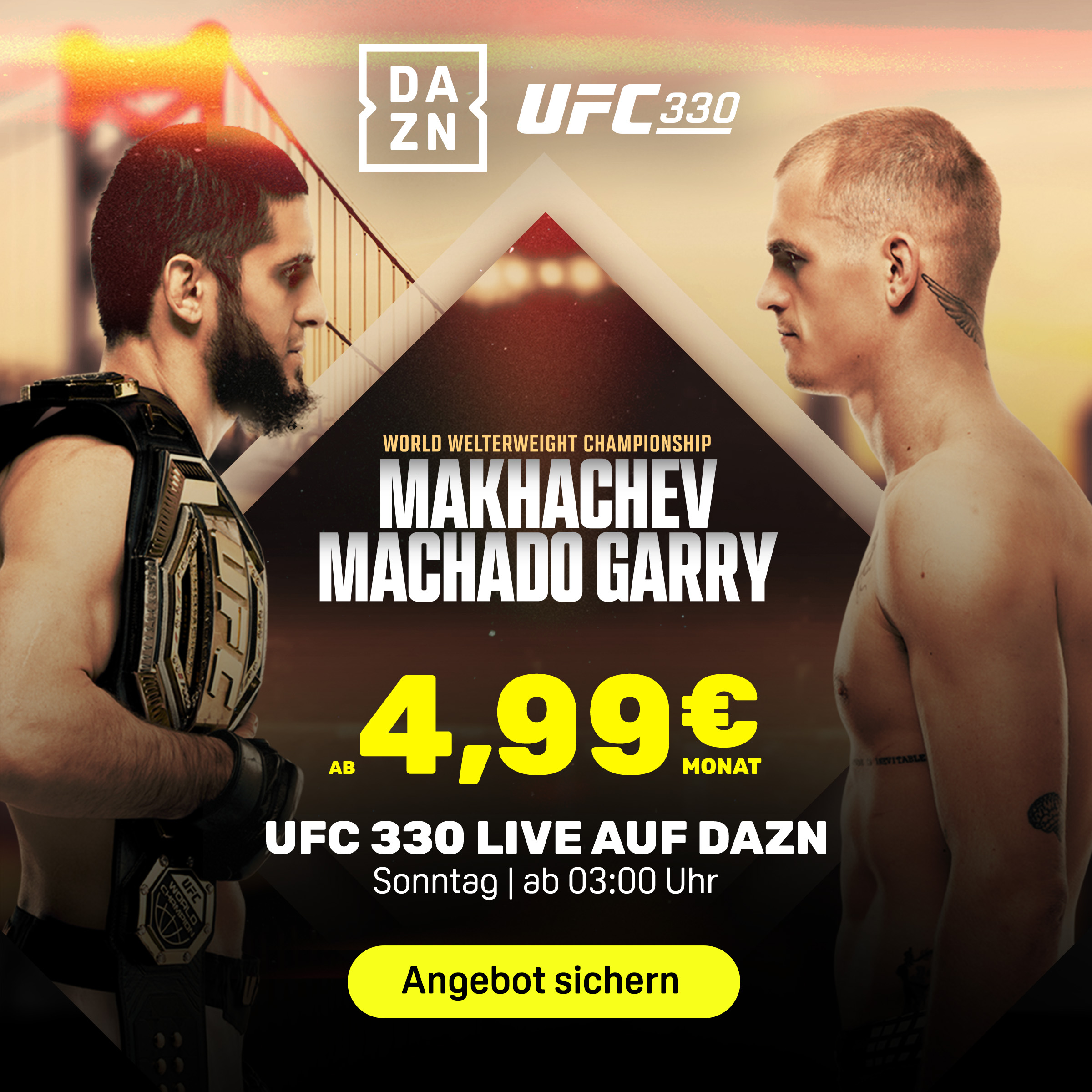 UFC 330 Banner
