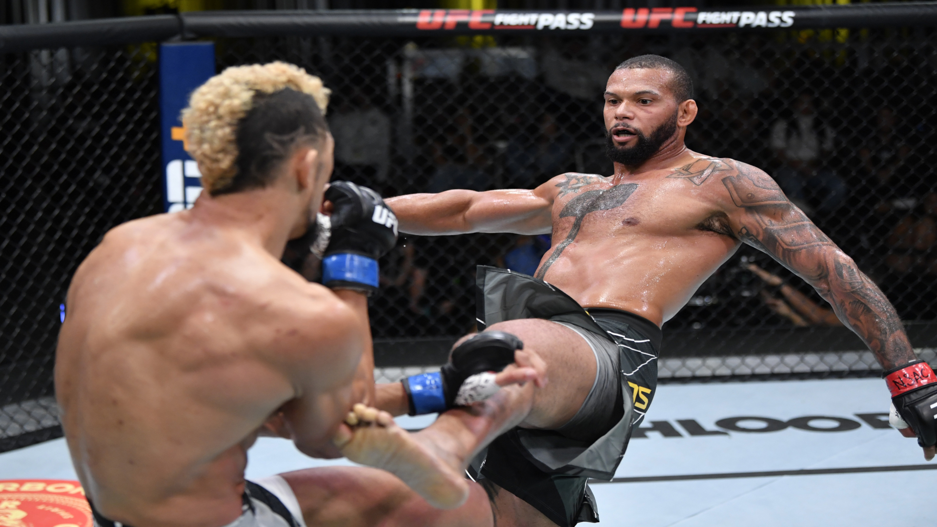 Ufc 239 full on sale stream