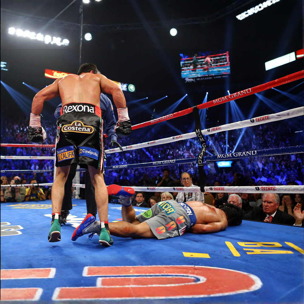 How Much Does Boxing Cost: Uncover the True Expense