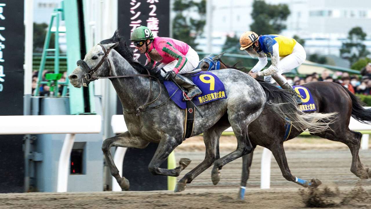 競馬 中継 放送 配信予定 Dazn番組表 Dazn News 日本 競馬 中継 放送 配信予定 Dazn番組表 Dazn News 日本