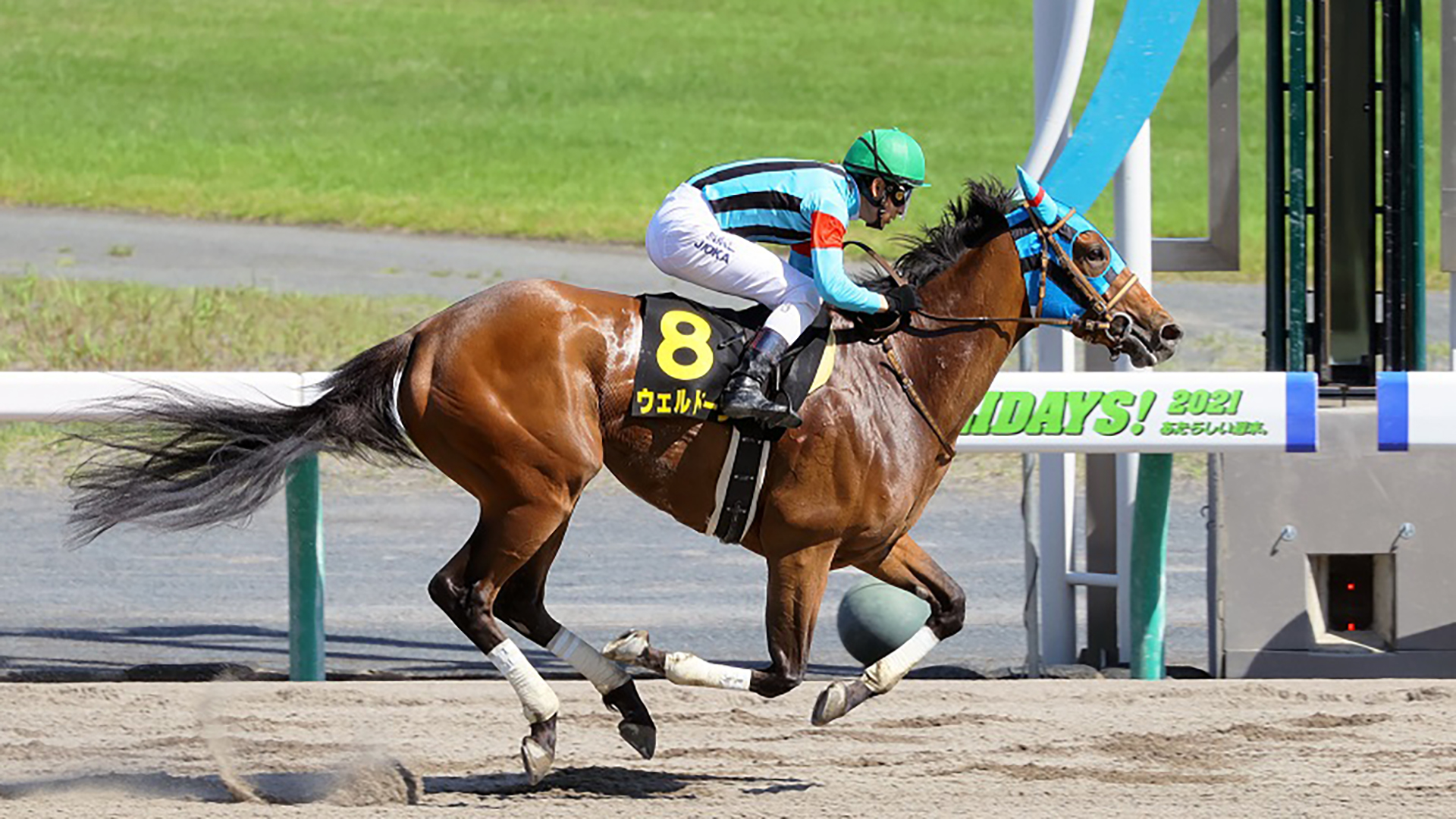 競馬 ジャパンダートダービー Jpni 有力 注目出走馬 枠順 発走時刻 放送 Dazn News 日本