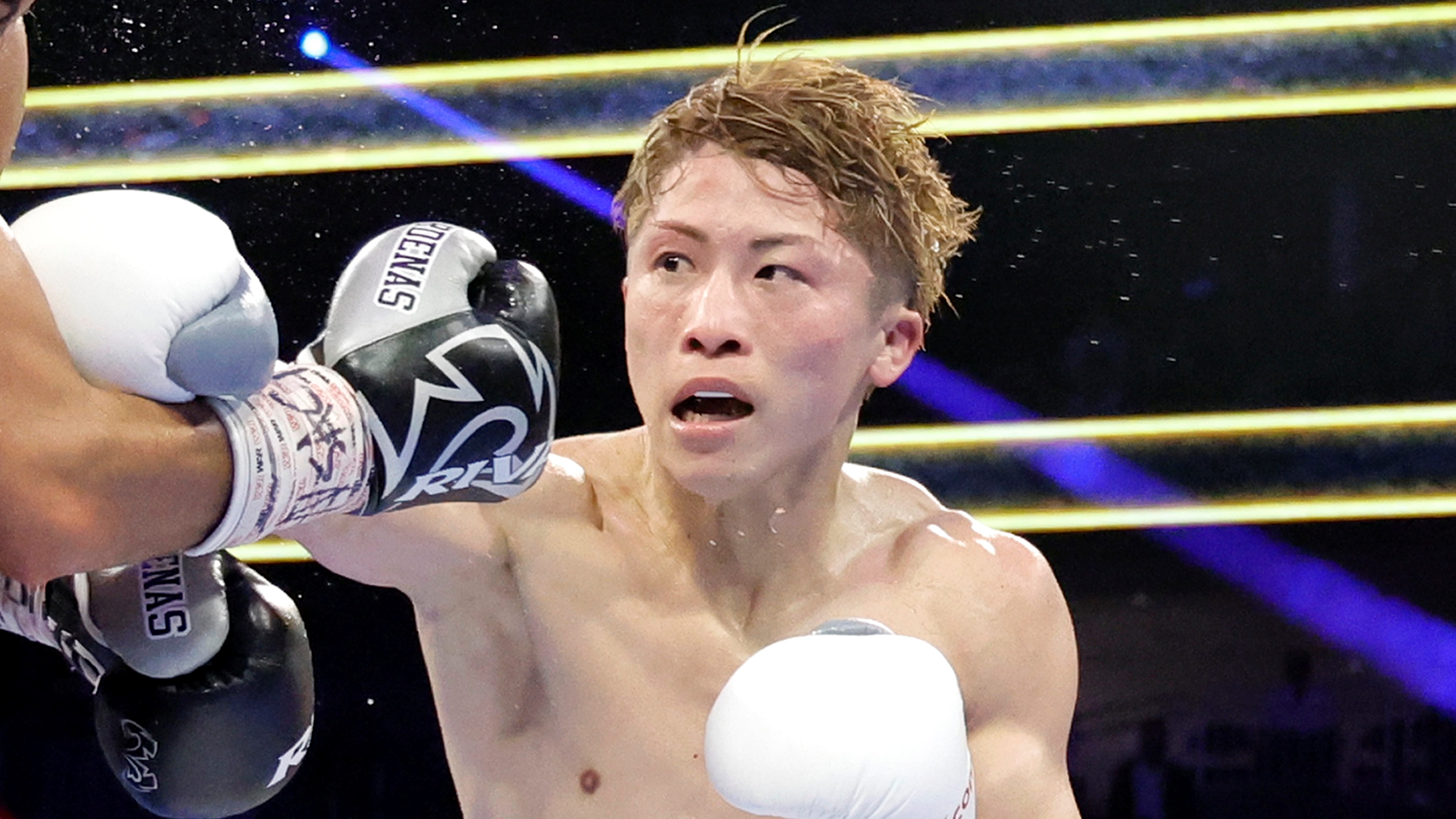井上尚弥vsアラン・ピカソはどこで見られる？無料視聴可能？｜THE RING