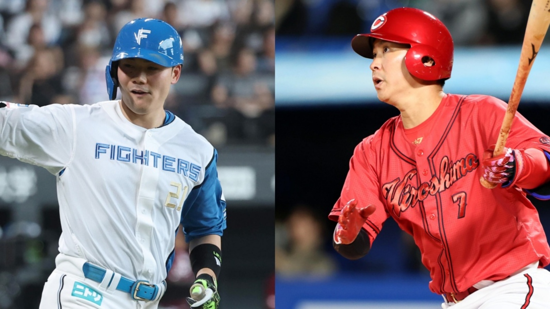 2月22日】北海道日本ハムファイターズvs広島東洋カープのテレビ放送 