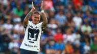 Nicolás Castillo Pumas Liga MX