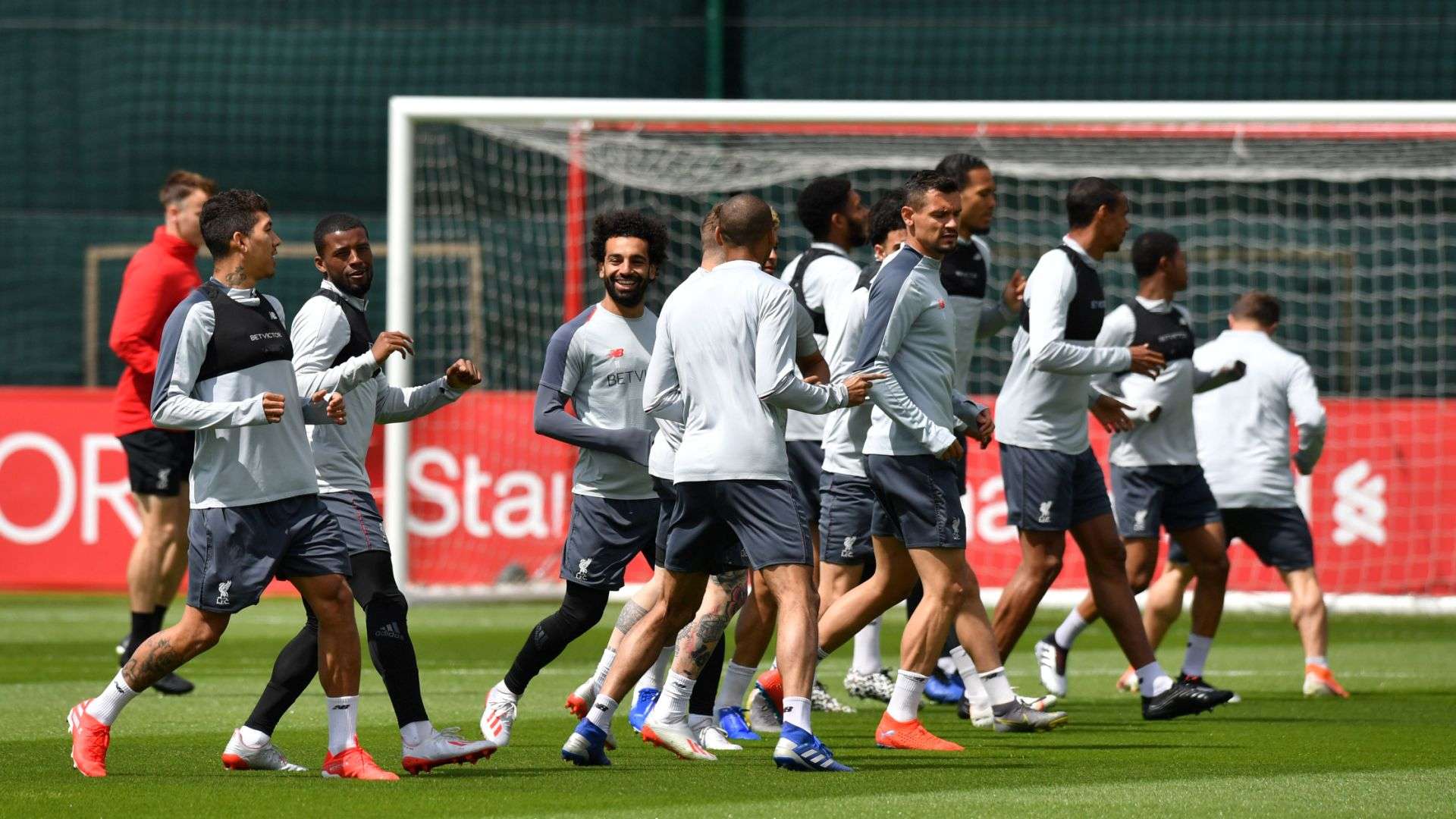 ネコ ウィリアムズ