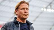 Markus Gisdol, Leverkusen - Hamburger SV, Bundesliga, 09242017