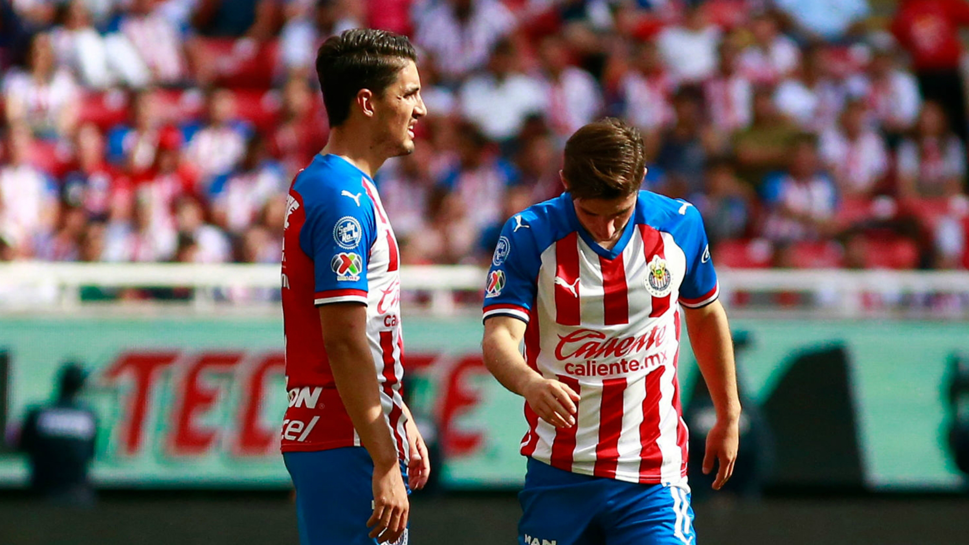 Cruz Azul vs Chivas A qué hora es, en qué canal y streaming online en