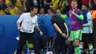 Marc Wilmots Belgien