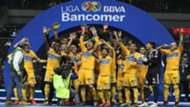 Tigres Campeón