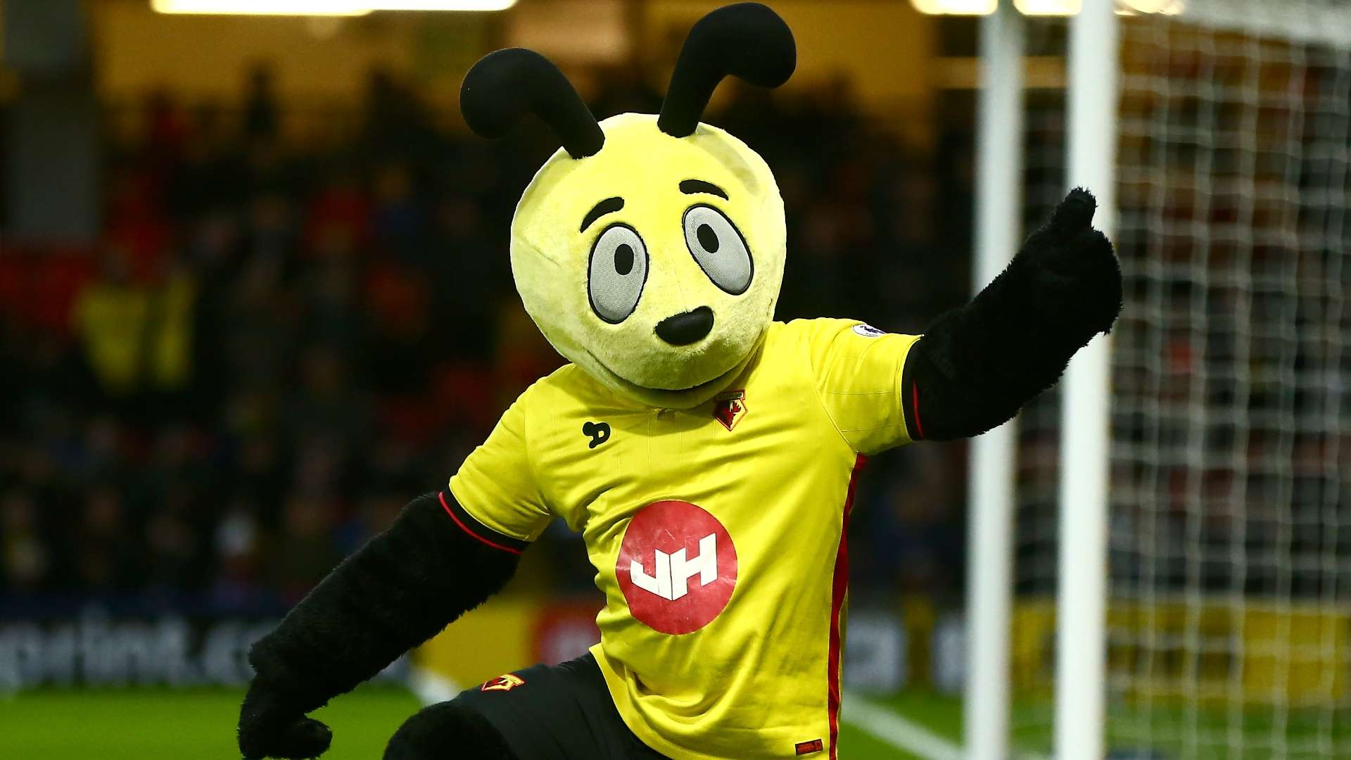 Every Premier League Football Mascot From Gunnersaurus To Fred The Red Beyond Goal Com