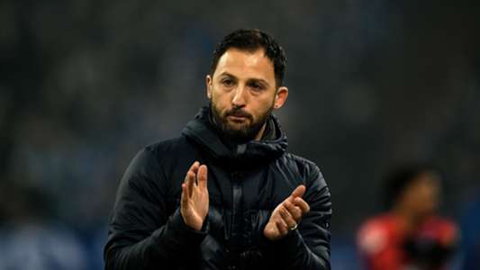 Neue Spieler Schalke Neue Spieler Schalke