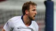 Harry Kane Tottenham 2018-19
