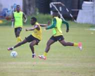 Yanga