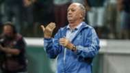 Felipão Scolari Palmeiras Fluminense Brasileirão Série A 14112018