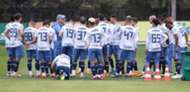 Palmeiras