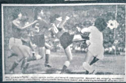 EMBED ONLY Yolanda D