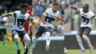 Collage Pumas