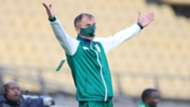 Milutin Sredojevic coach of Zambia.