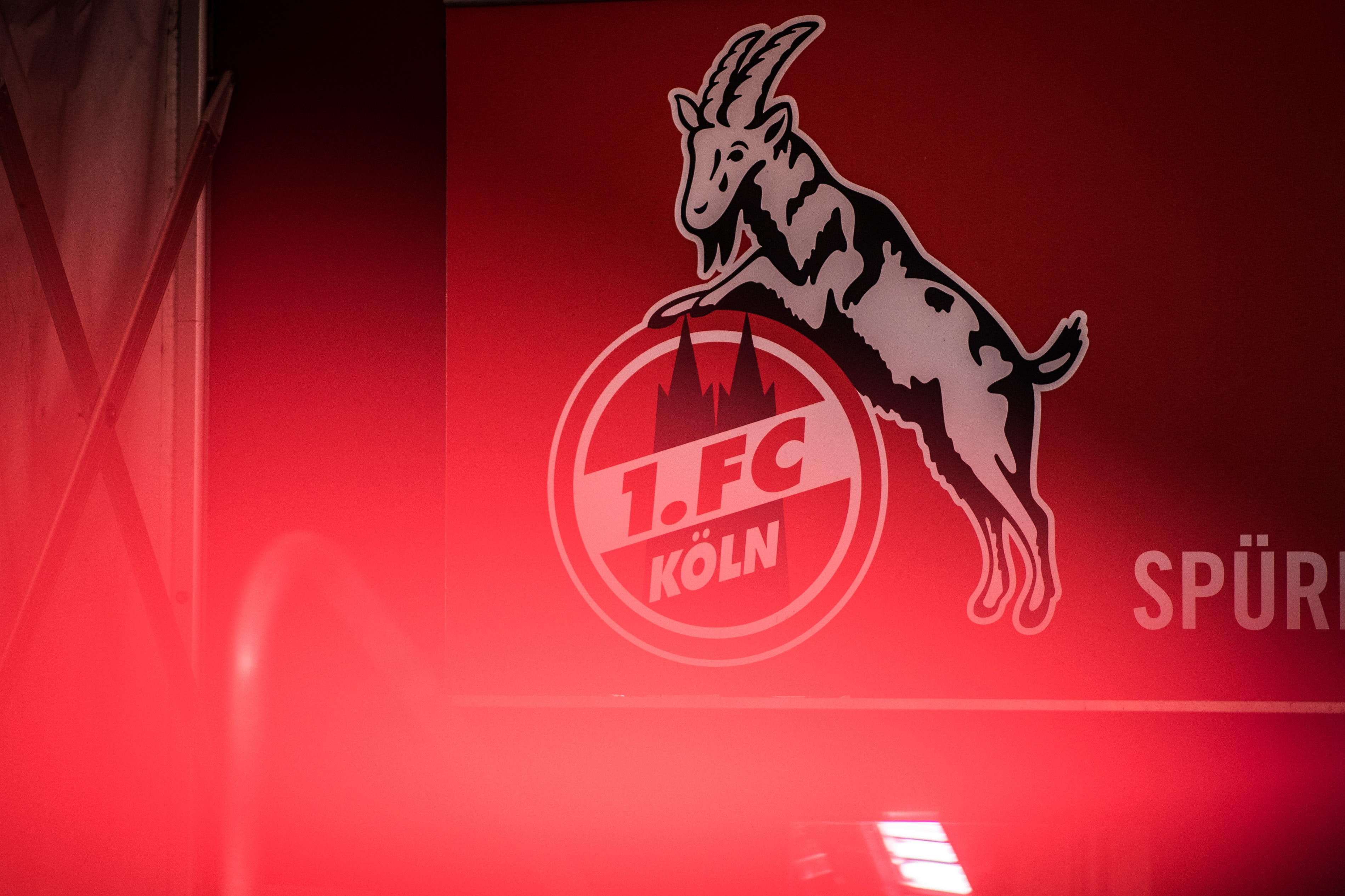 Bundesliga Enter Hennes The Ninth Fc Koln S Living Mascot Goal Com