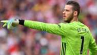 David de Gea Man Utd