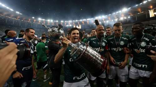 Palmeiras Libertadores Cup