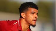 Dominic Solanke