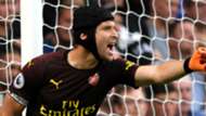 Petr Cech Arsenal 2018-19