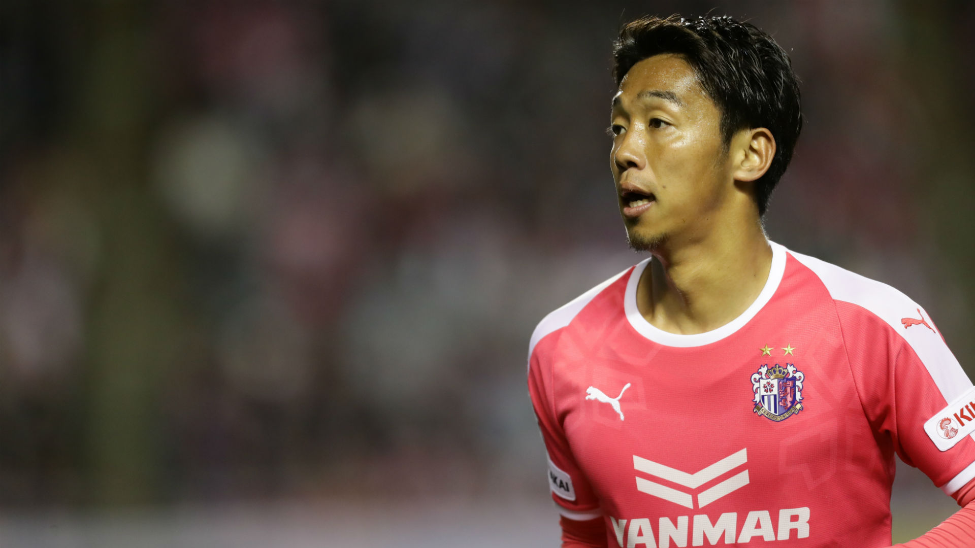 セレッソ大阪の試合をテレビで観戦 テレビでの視聴方法をご紹介 Goal Com