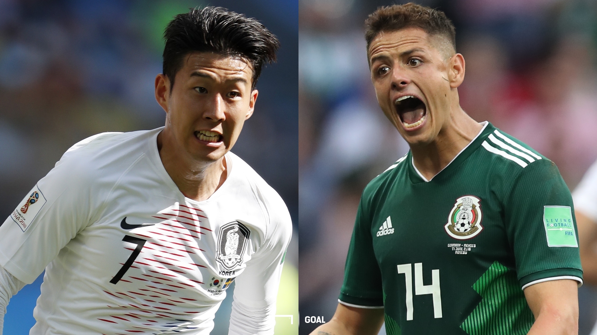 韓国対メキシコの試合日程と放送予定 ロシアw杯グループf Goal Com