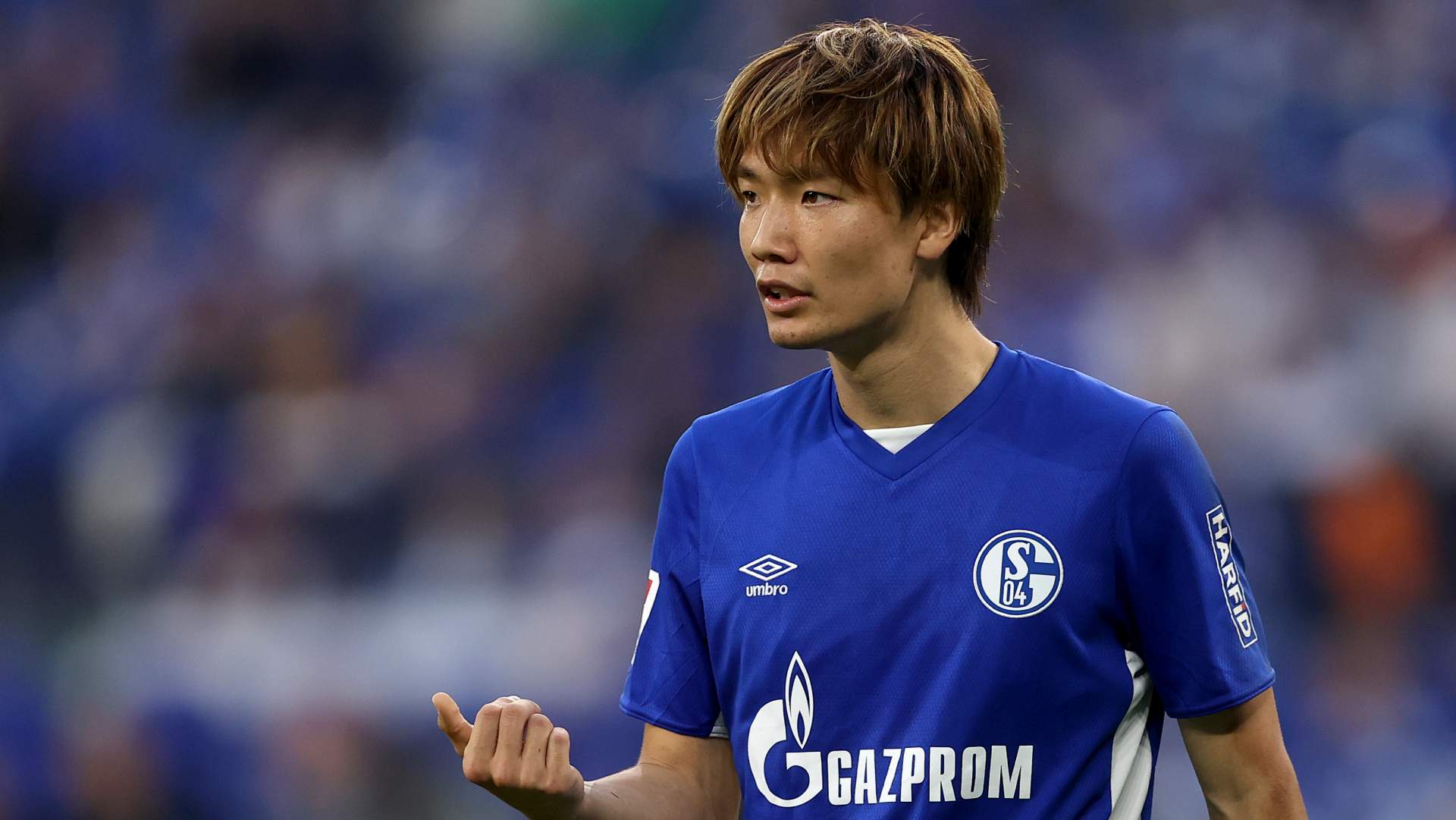 板倉滉をボランチで起用 シャルケ監督 記者の質問に 敵将に情報をあまり与えたくないのだが Goal Com