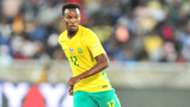 Bafana Bafana, Themba Zwane