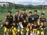 FC 포텐셜