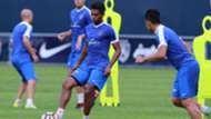 Hariss Harun, Johor Darul Ta'zim