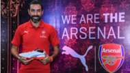 Robert Pires Arsenal