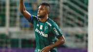 Miguel Borja Palmeiras Vasco Brasileirao Serie A 14052017