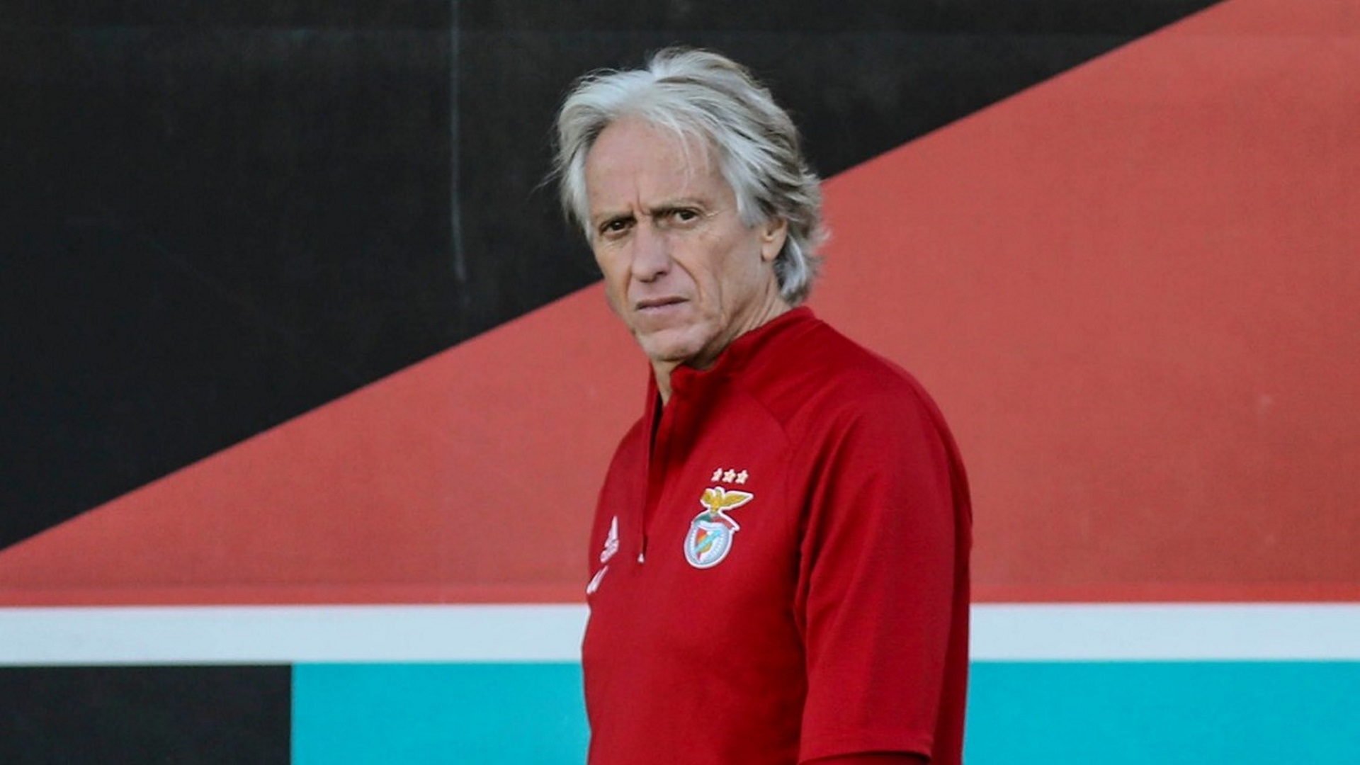 'It's a wave that is taking over the world' ' - Benfica ...