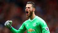 David de Gea Manchester United