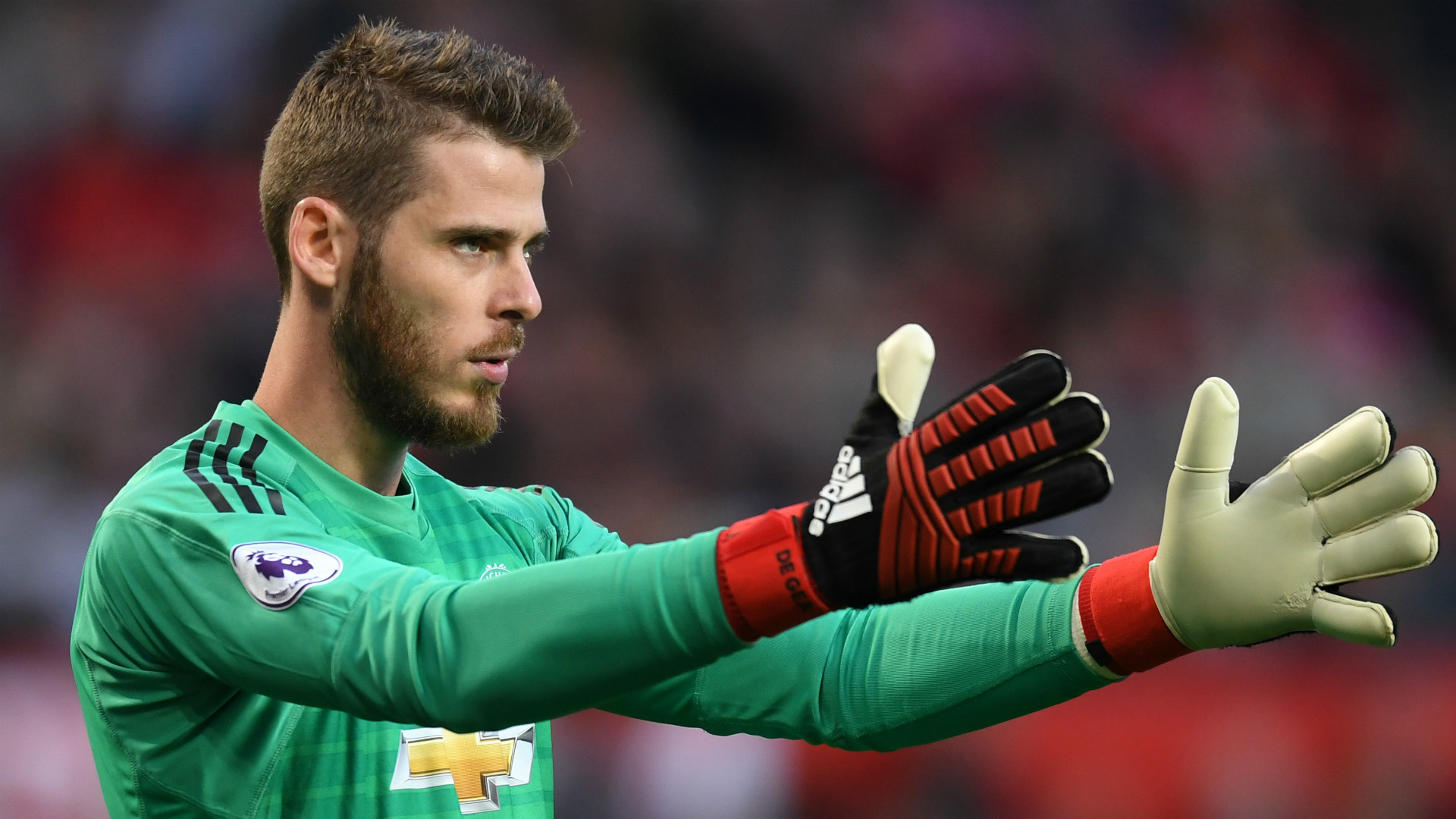 david de gea gloves 2018