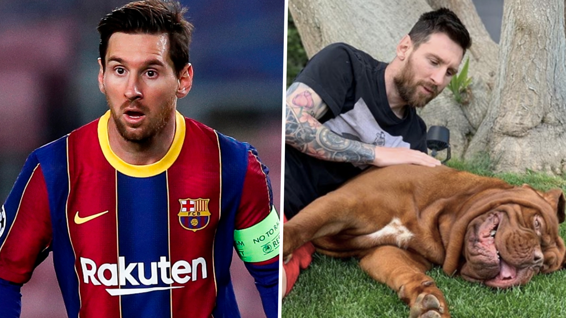 Messi Dog