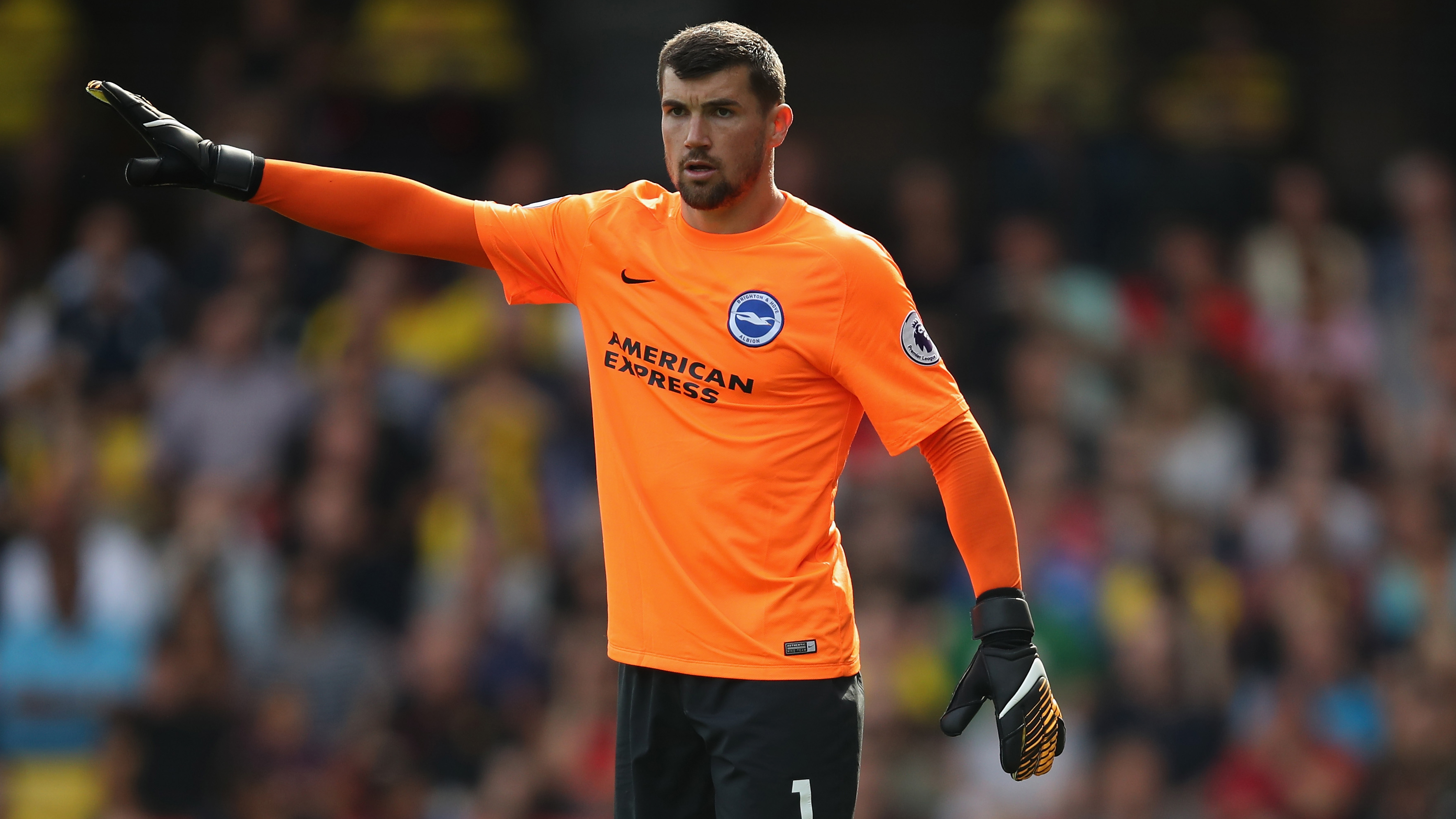 Mat Ryan I think Ange Postecoglou will stay as Socceroos coach after