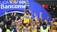 Tigres