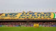 Pumas fans