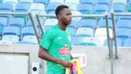 Bafana Bafana, Phakamani Mahlambi